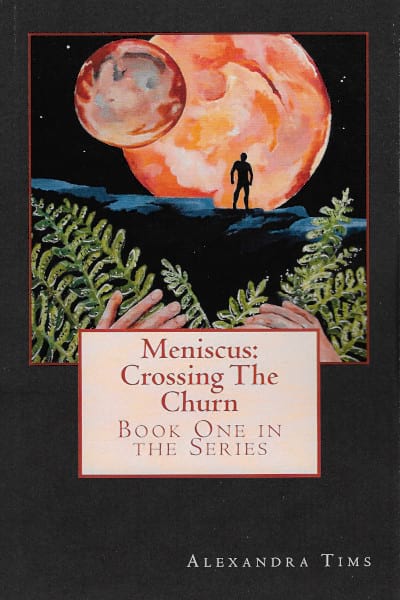 Crossing the Churn by Jane Tims